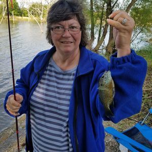 Meet your Posher, Lisa